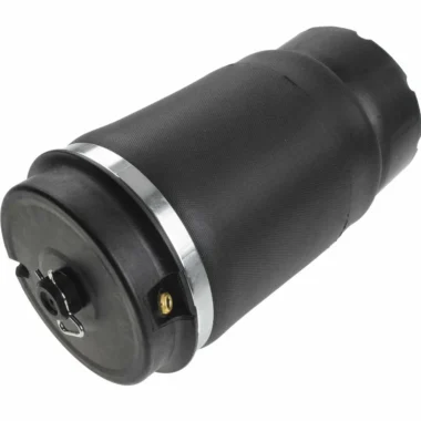 Land-Rover-L322-Air suspension Rear left and right